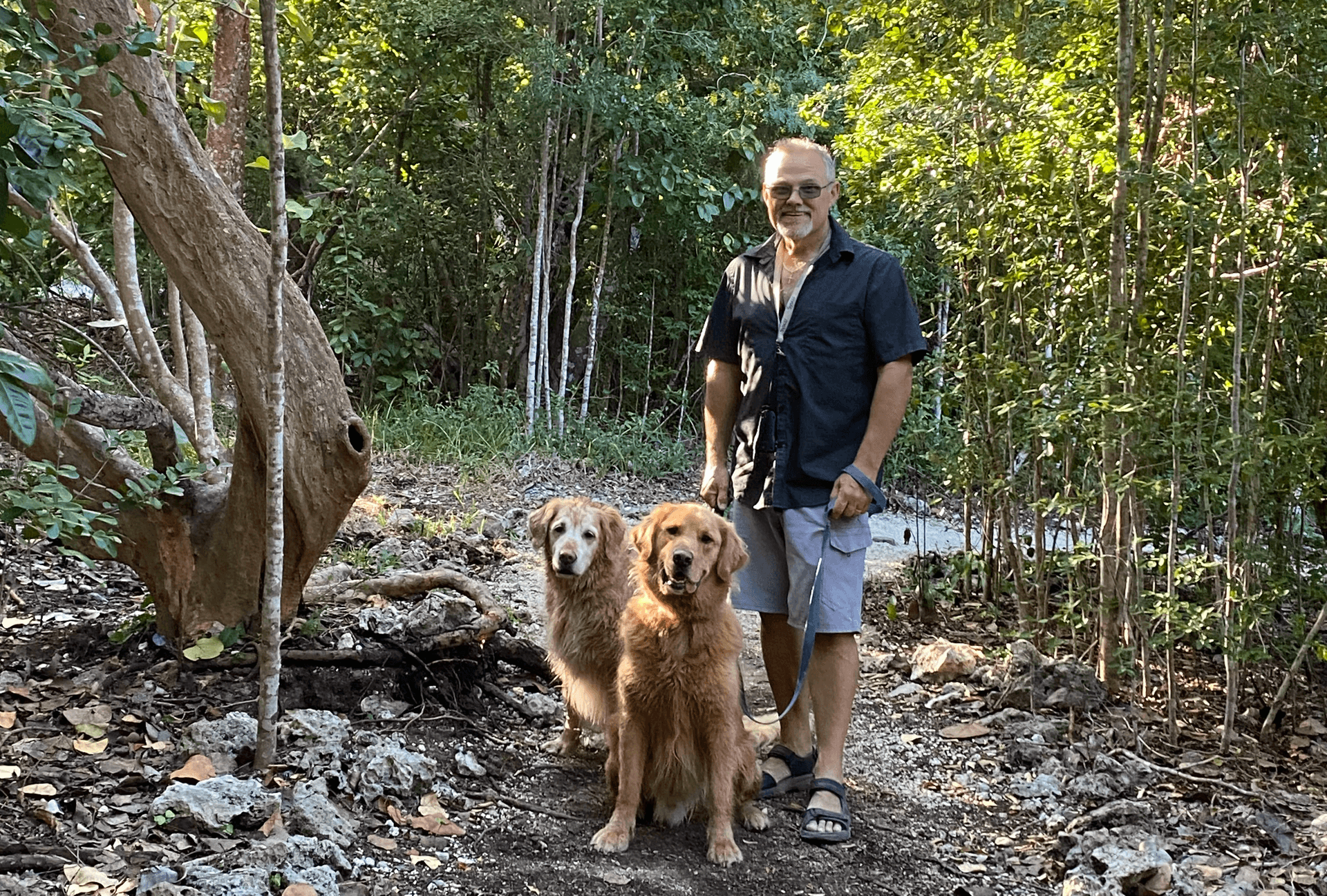 Pets enjoying RV travel and a walk with their owner